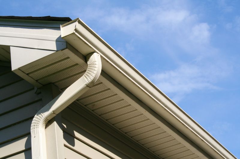 Eavestrough Clearing in Longmont, CO