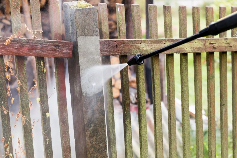 Fence and Gate Cleaning