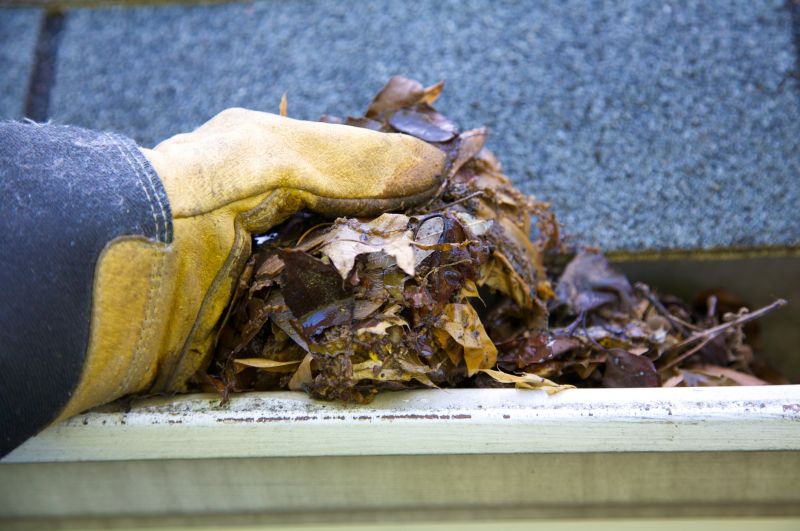 Rain Gutter Clearing in Longmont, CO