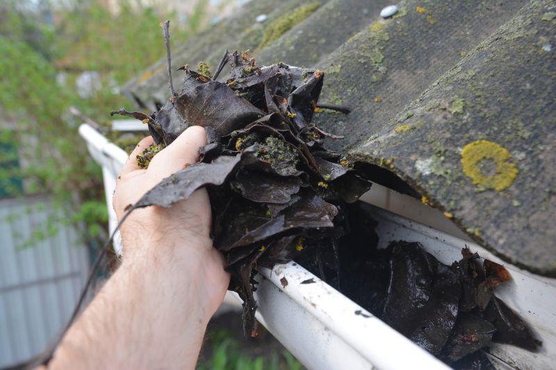 Roof Gutter Cleaning in Boulder, CO